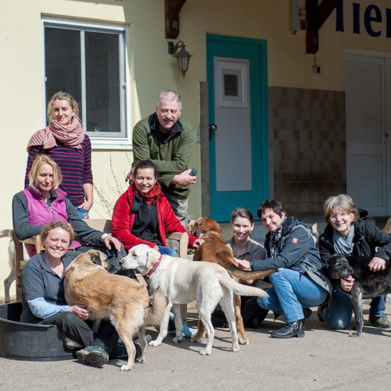 Tierheimteam Eine Gruppe von Menschen mit Hunden vor einem Tierheim.