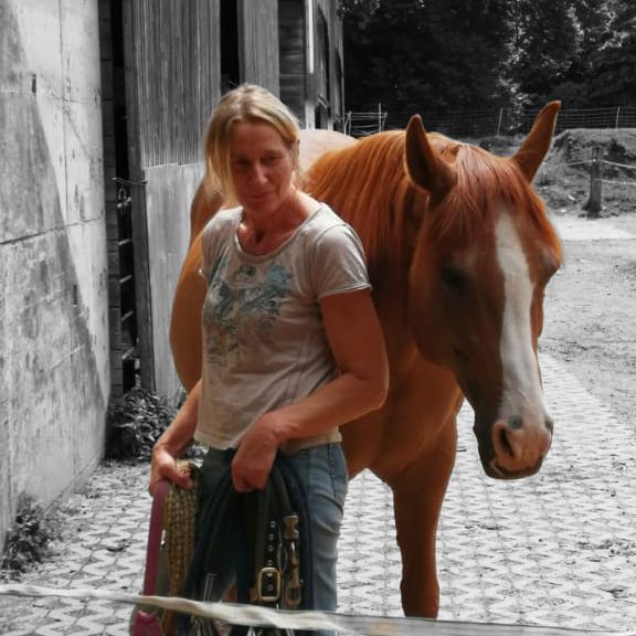 Brigitte Wagner Frau steht neben einem braunen Pferd auf einem Weg in einem Stall.