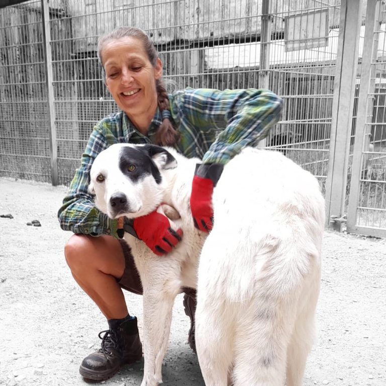 Manu Scherer Eine Frau mit Handschuhen umarmt einen großen weißen Hund in einem Tierheim.